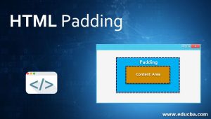 How to use in image and padding in CSS? - DevOps | SRE | DevSecOps